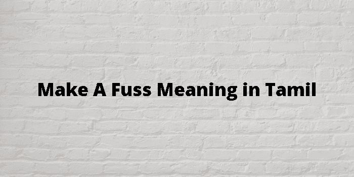 make-a-fuss-meaning-in-tamil