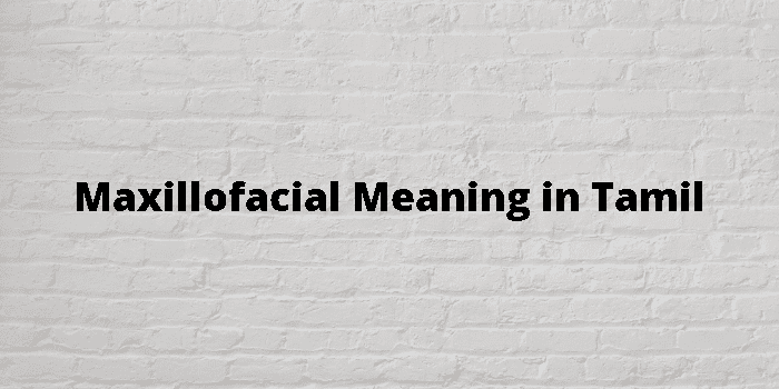 maxillofacial-meaning-in-tamil