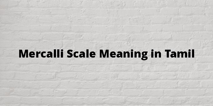 mercalli-scale-meaning-in-tamil