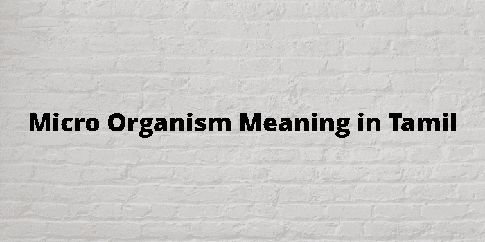 Micro Organism Meaning In Tamil - தமிழ் அர்த்தம்