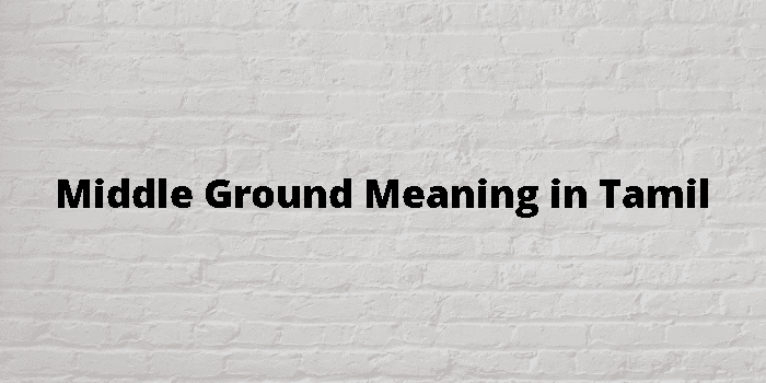 middle-ground-meaning-in-tamil