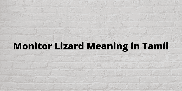 monitor-lizard-meaning-in-tamil