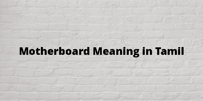 Motherboard Meaning In Tamil - தமிழ் அர்த்தம்