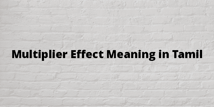 multiplier-effect-meaning-in-tamil