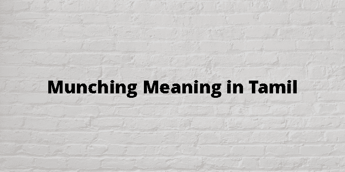 Munching Meaning In Tamil - தமிழ் அர்த்தம்