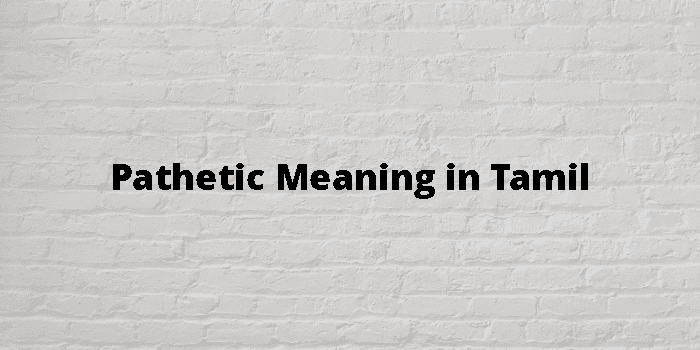 pathetic-meaning-in-tamil