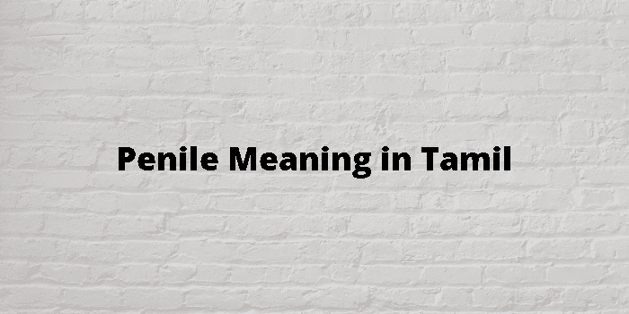 penile-meaning-in-tamil