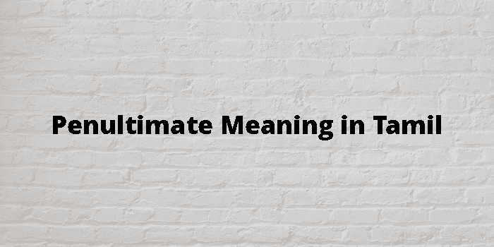 Penultimate Meaning In Tamil - தமிழ் அர்த்தம்