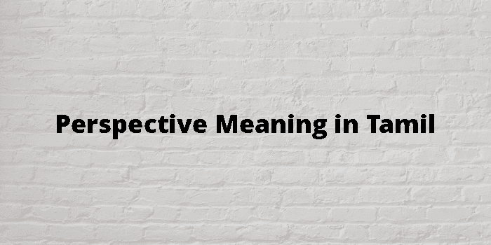 perspective-meaning-in-tamil