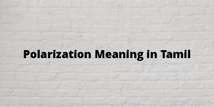 polarization-meaning-in-tamil