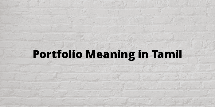 portfolio-meaning-in-tamil