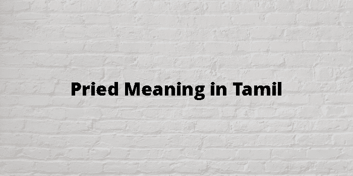 Pried Meaning In Tamil - தமிழ் அர்த்தம்