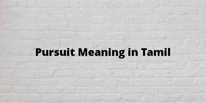 pursuit-meaning-in-tamil