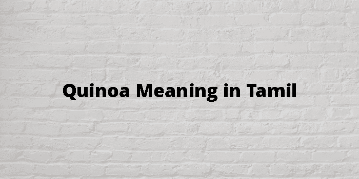 quinoa-meaning-in-tamil