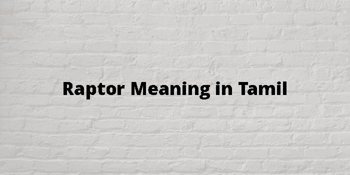 Raptor Meaning In Tamil - தமிழ் அர்த்தம்