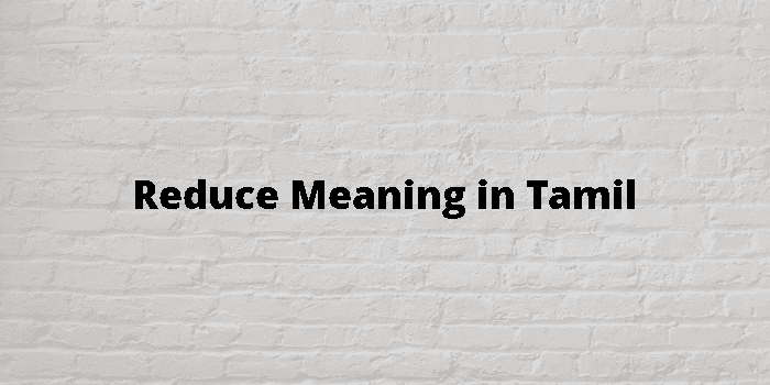 reduce-meaning-in-tamil