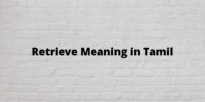 retrieve-meaning-in-tamil