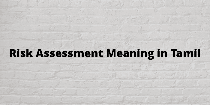 risk-assessment-meaning-in-tamil