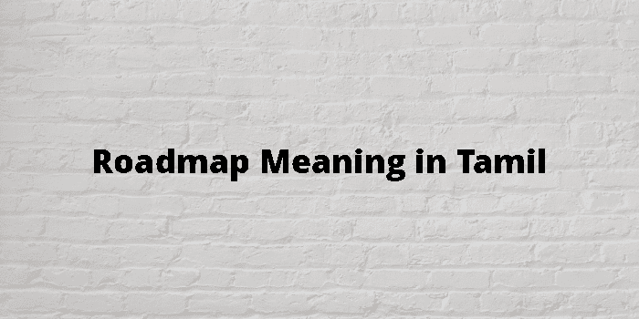 roadmap-meaning-in-tamil