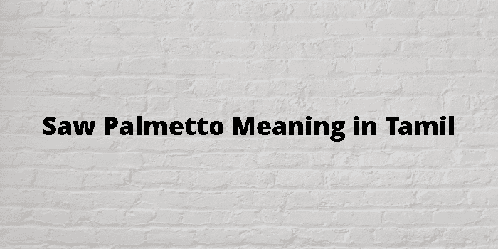 Saw Palmetto Meaning In Tamil