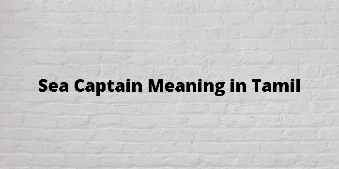 sea-captain-meaning-in-tamil