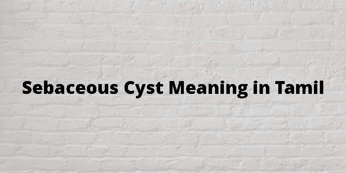 sebaceous-cyst-meaning-in-tamil