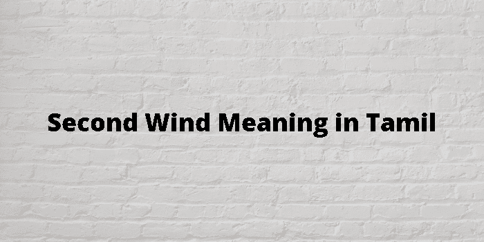 Wind Meaning In Tamil