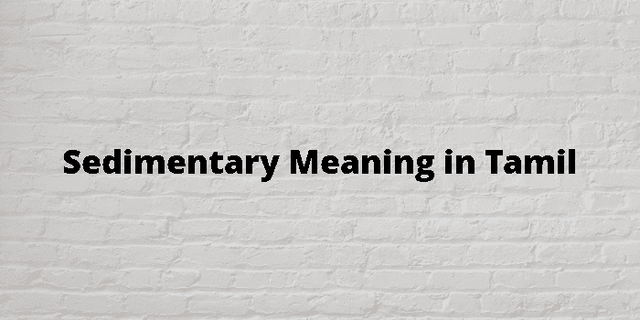 sedimentary-meaning-in-tamil