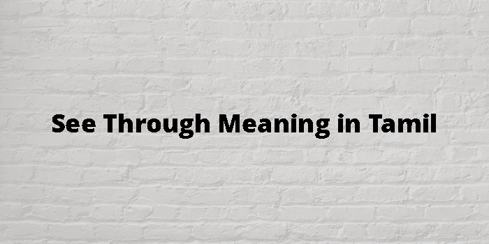 see-through-meaning-in-tamil