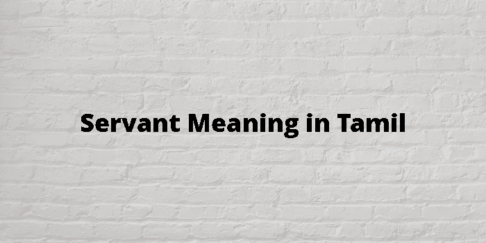 servant-meaning-in-tamil