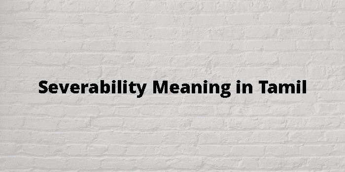 Severability Meaning In Tamil - தமிழ் அர்த்தம்