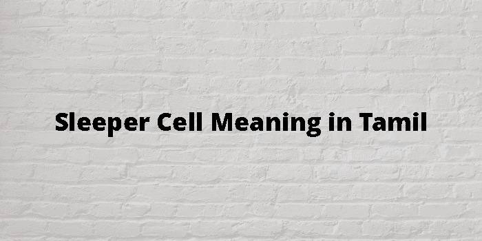 sleeper-cell-meaning-in-tamil