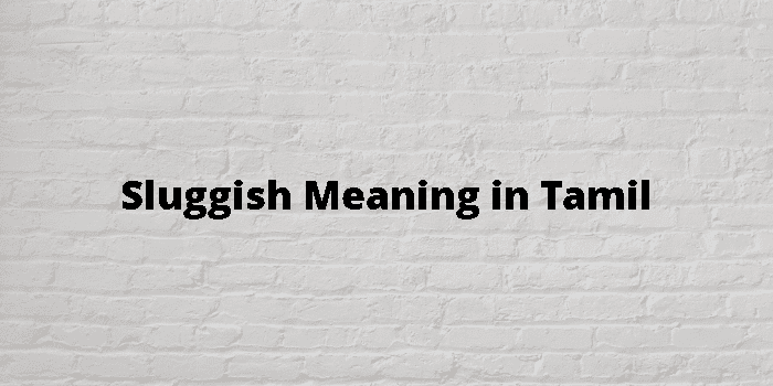 Sluggish Meaning In Tamil