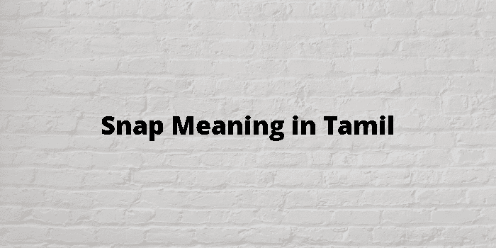 Snap Meaning In Tamil 