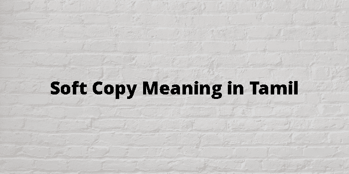 soft-copy-meaning-in-tamil