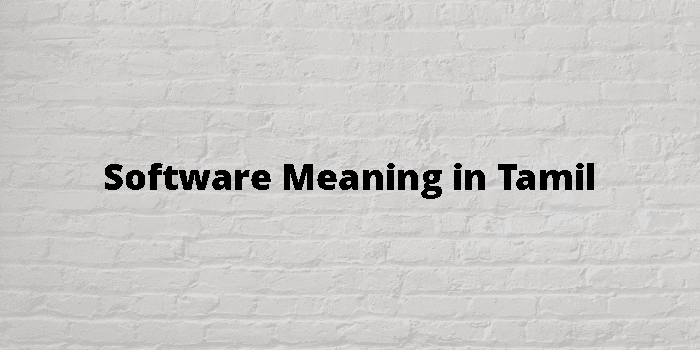 software-meaning-in-tamil