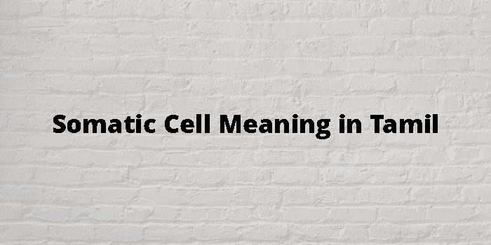 somatic-cell-meaning-in-tamil