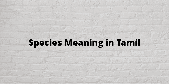 Species Meaning In Tamil - தமிழ் அர்த்தம்