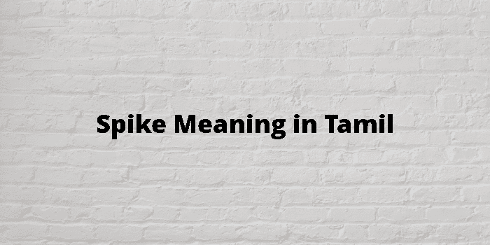 spike-meaning-in-tamil