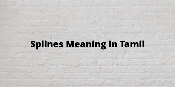 splines-meaning-in-tamil