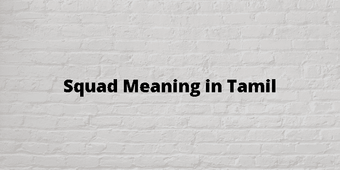 squad-meaning-in-tamil