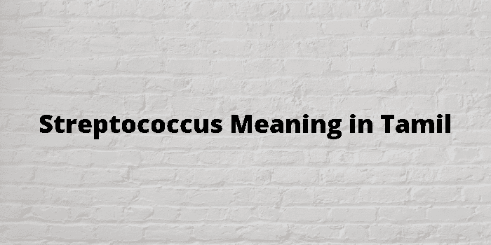 streptococcus-meaning-in-tamil