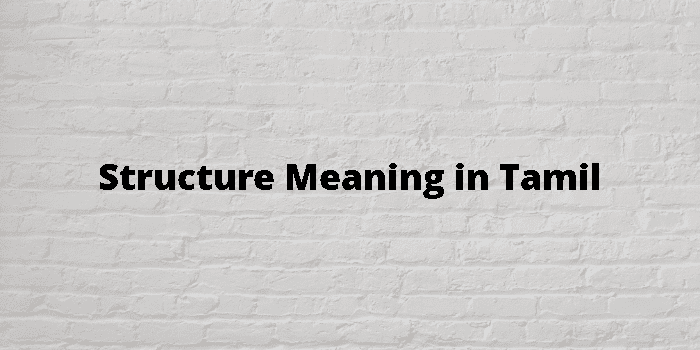 Structure Meaning In Tamil