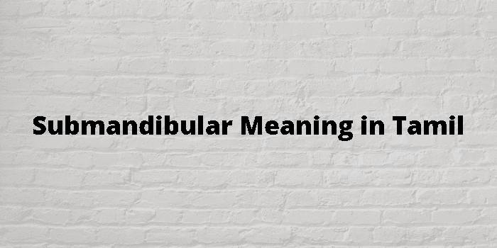 submandibular-meaning-in-tamil