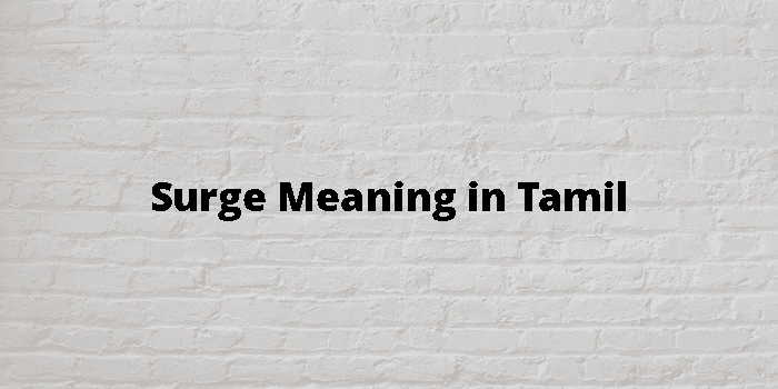 surge-meaning-in-tamil