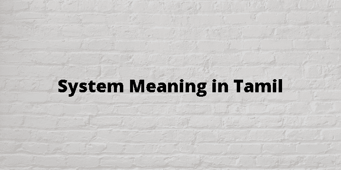 system-meaning-in-tamil