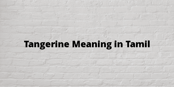 tangerine-meaning-in-tamil