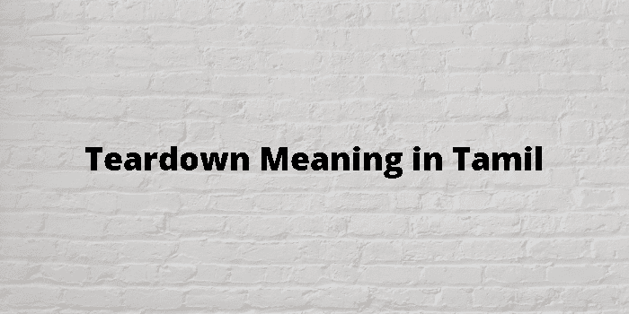 teardown-meaning-in-tamil