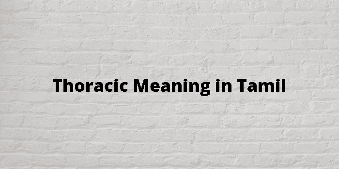 thoracic-meaning-in-tamil