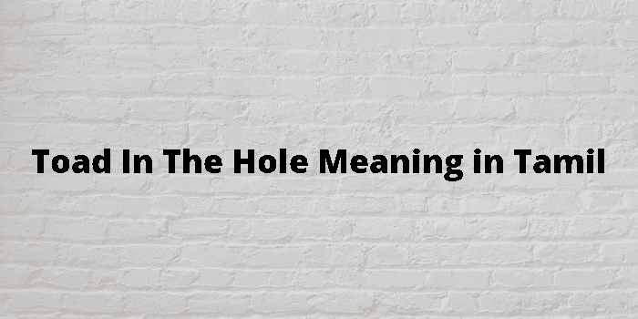 Big Hole Meaning In Tamil